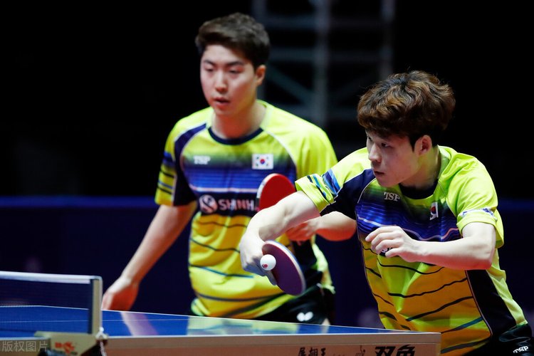 能占有一定 能占有一定